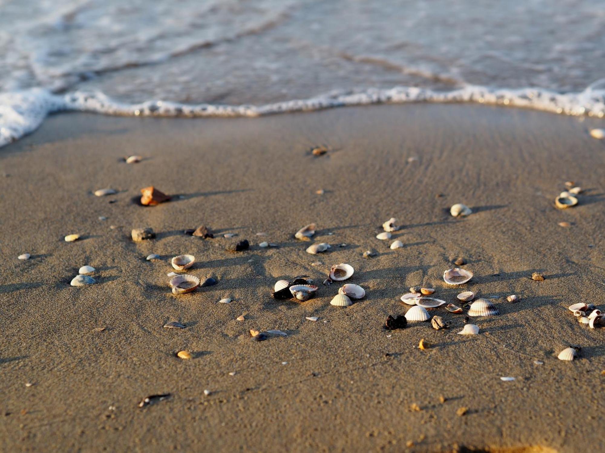 Welcoming Flat Next To The Sea For Up To 6 Guests * Bibione